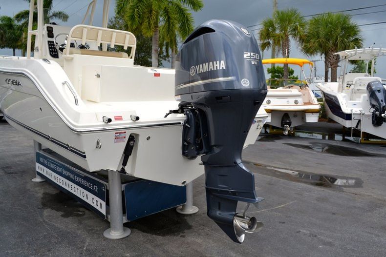 Thumbnail 12 for New 2013 Cobia 237 Center Console boat for sale in West Palm Beach, FL