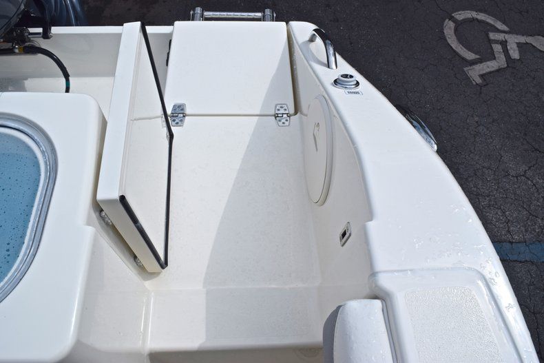 Thumbnail 13 for New 2019 Cobia 240 CC Center Console boat for sale in Fort Lauderdale, FL