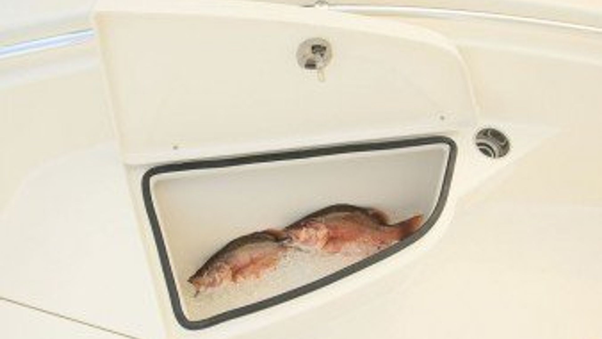 New 2015 Cobia 217 Center Console #R034 image 8